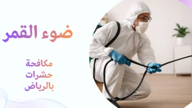 مكافحة حشرات بالرياض