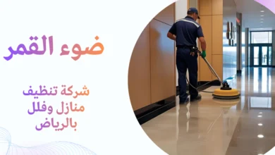 شركة تنظيف منازل وفلل بالرياض