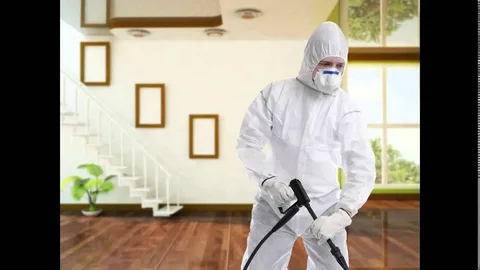 مكافحة حشرات بالرياض