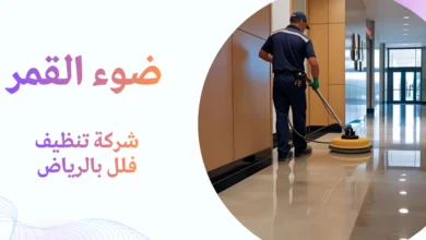 شركة تنظيف فلل بالرياض